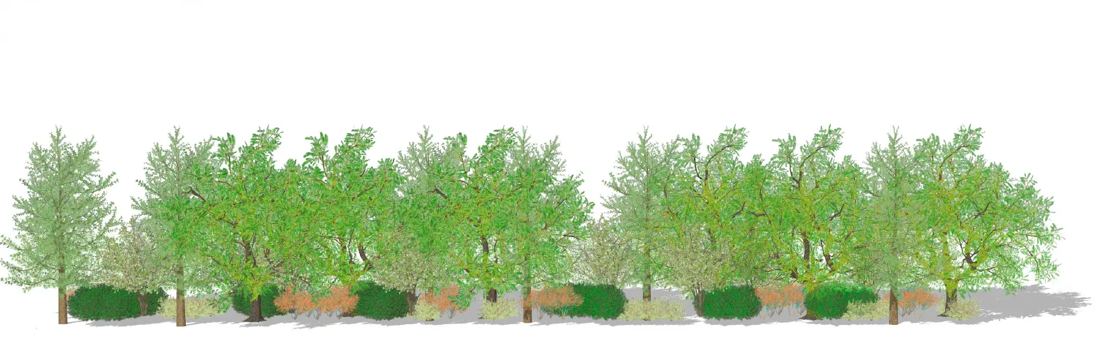 Landscape Buffer elevation showing landscaping design with trees and vegetation
